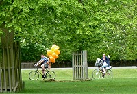 Chestnut Sunday, May 2017